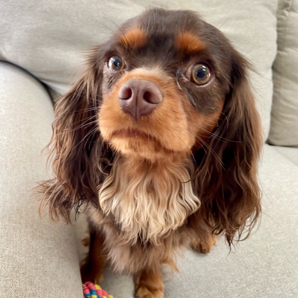 About Me - Picture 14 of 16